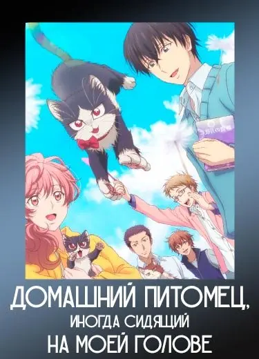 Домашний питомец, иногда сидящий на моей голове