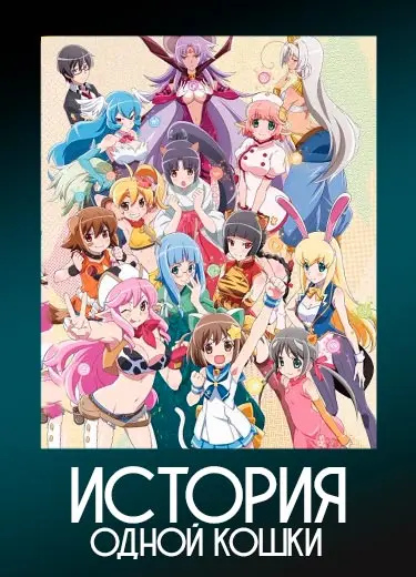 История одной кошки