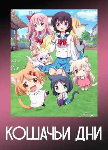 Кошачьи дни