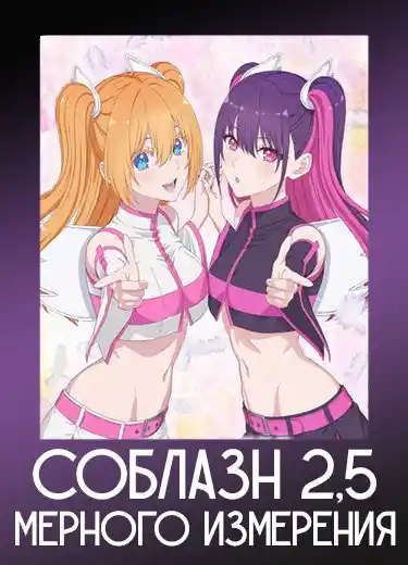 Соблазн 2,5-мерного измерения
